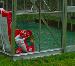 GREENHOUSES: ALUMINIUM GREENHOUSES and WOODEN GREENHOUSES - Close up photos