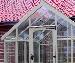 GREENHOUSES - Close up photos