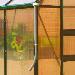 GREENHOUSES - Pair of downpipes