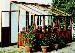 GREENHOUSES - Design Options