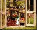 GREENHOUSES: ALUMINIUM GREENHOUSES and WOODEN GREENHOUSES - Staging