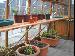 GREENHOUSES: ALUMINIUM GREENHOUSES and WOODEN GREENHOUSES - Staging