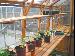 GREENHOUSES: ALUMINIUM GREENHOUSES and WOODEN GREENHOUSES - Shelving