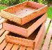 GREENHOUSES - Seed trays