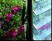 GREENHOUSES - Ventilation