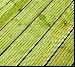 GREENHOUSES - Lifetime preservative treatment