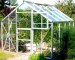 Eden Sherborne Greenhouse 32