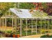 Robinsons Regal Greenhouse 617 mill finish