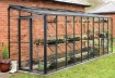 Robinsons Lean to Greenhouse 691