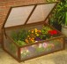 Cold Frame 463