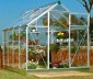 6ft wide Greenhouse 041
