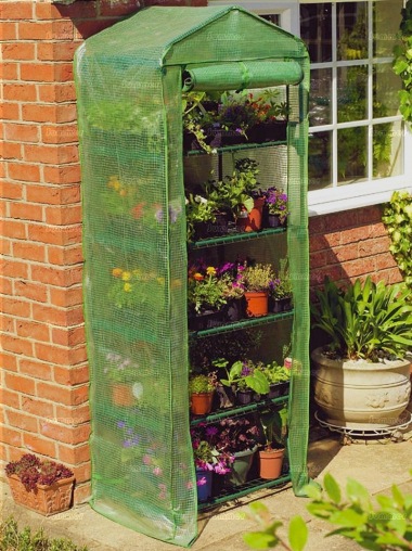 Small Growhouse 443