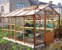 Alton Traditional Greenhouse 813