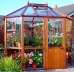 Alton Octagonal Greenhouse 861