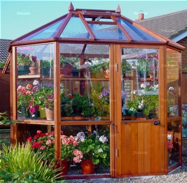 Alton Octagonal Greenhouse 861
