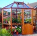 Alton Octagonal Greenhouse 861