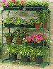 GREENHOUSES - Shelving