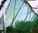 EDEN GREENHOUSES - Shade netting
