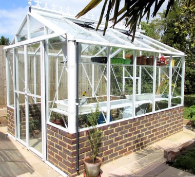 Robinsons Royale Dwarf Wall Greenhouse