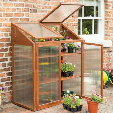 Rowlinson Hardwood Mini Greenhouse - Polycarbonate, 2 Shelves, FSC® Certified